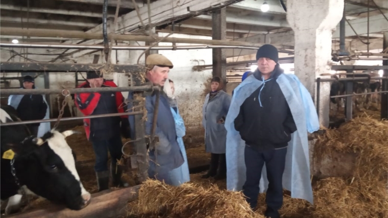 24 марта в ЗАО "Прогресс" провели очередной осмотр молочно-товарных и свино-товарных ферм